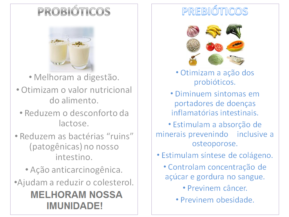 Qual A Diferença Entre Prebiotico E Probiotico - RETOEDU